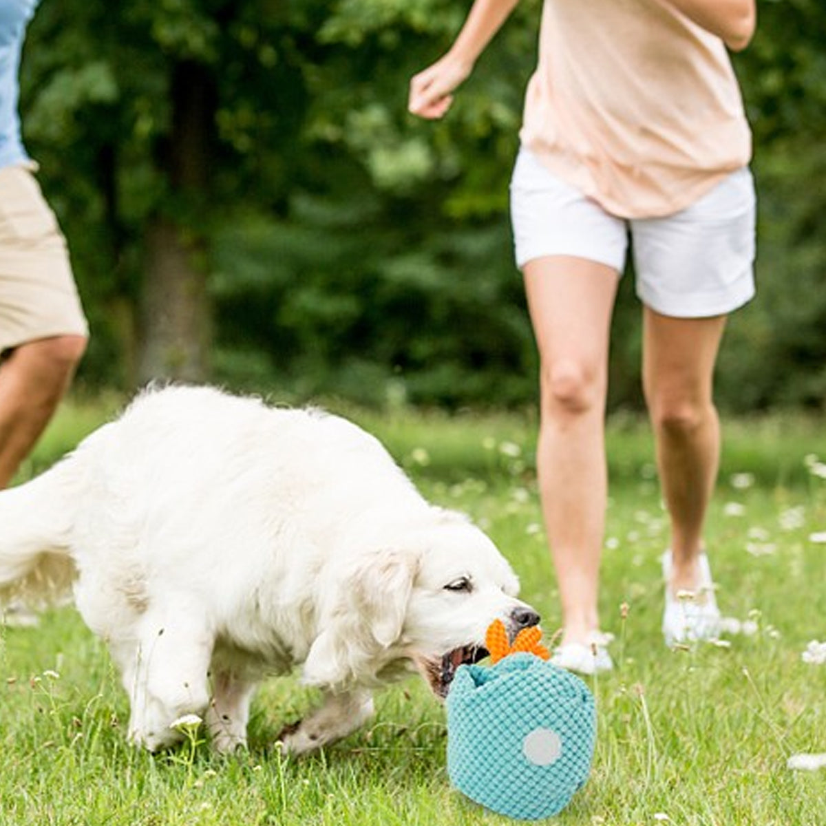 Crab Dog Snuffle Toy Sniffing Mat 31.4in Nose-Work Enrichment