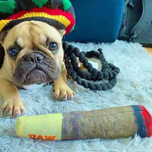 Funny Cigarette Dog Squeaky Toy Plush Chew Toy