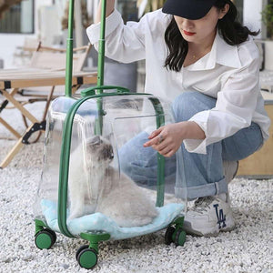 Transparent Pet Trolley Carrier with Wheels for Cats & Small Dogs