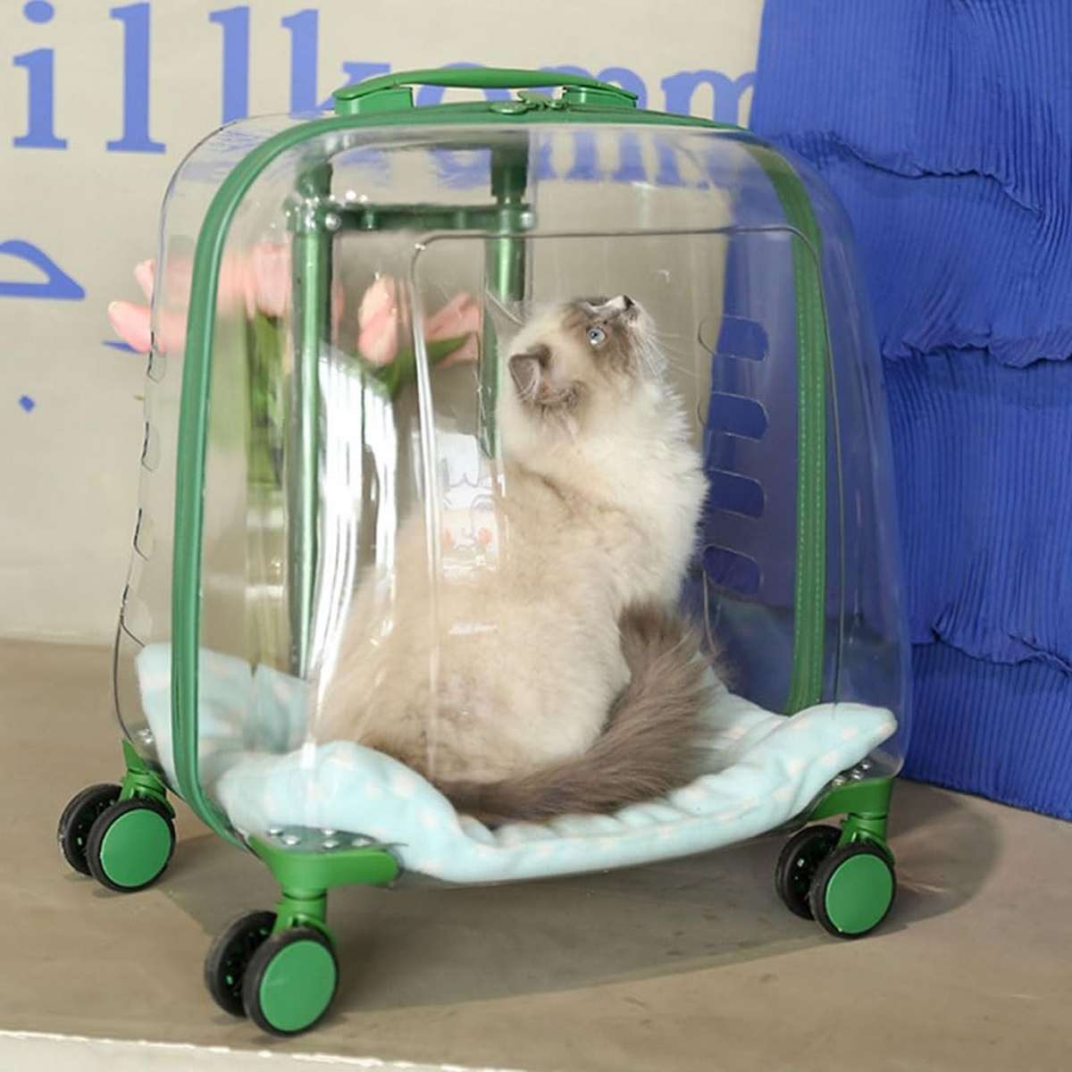Transparent Pet Trolley Carrier with Wheels for Cats & Small Dogs