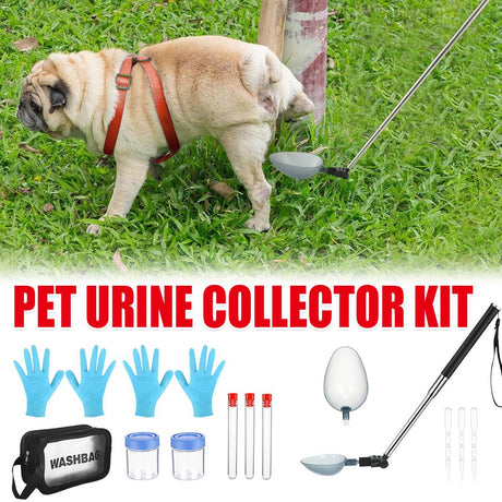 Pet urine sample collection kit for dogs and cats