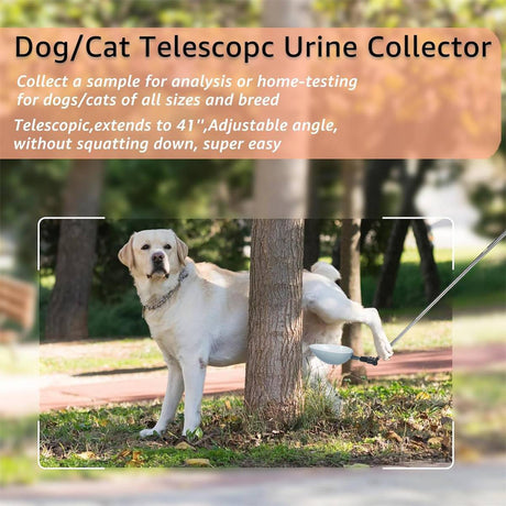 Pet urine sample collection kit for dogs and cats – product view 4