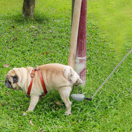 Pet urine sample collection kit for dogs and cats – product view 7