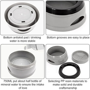 No Spill Pet Water Bowl With Floating Plate