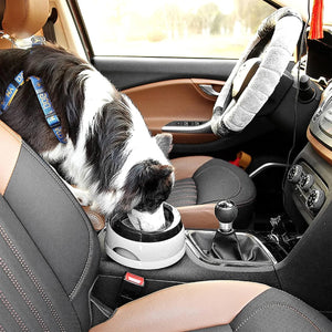 No Spill Pet Water Bowl With Floating Plate