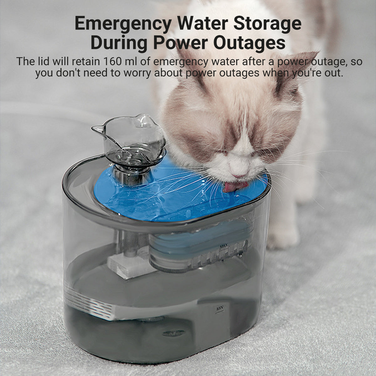 Automatic Pet Water Fountain for Cats and Dogs