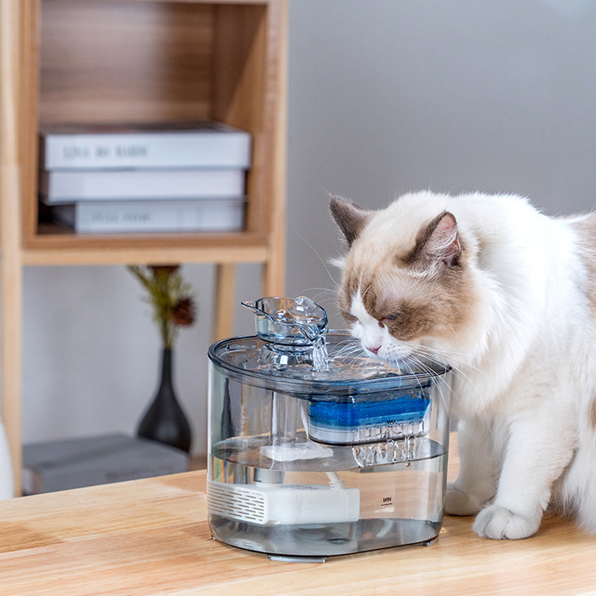 Automatic Pet Water Fountain for Cats and Dogs