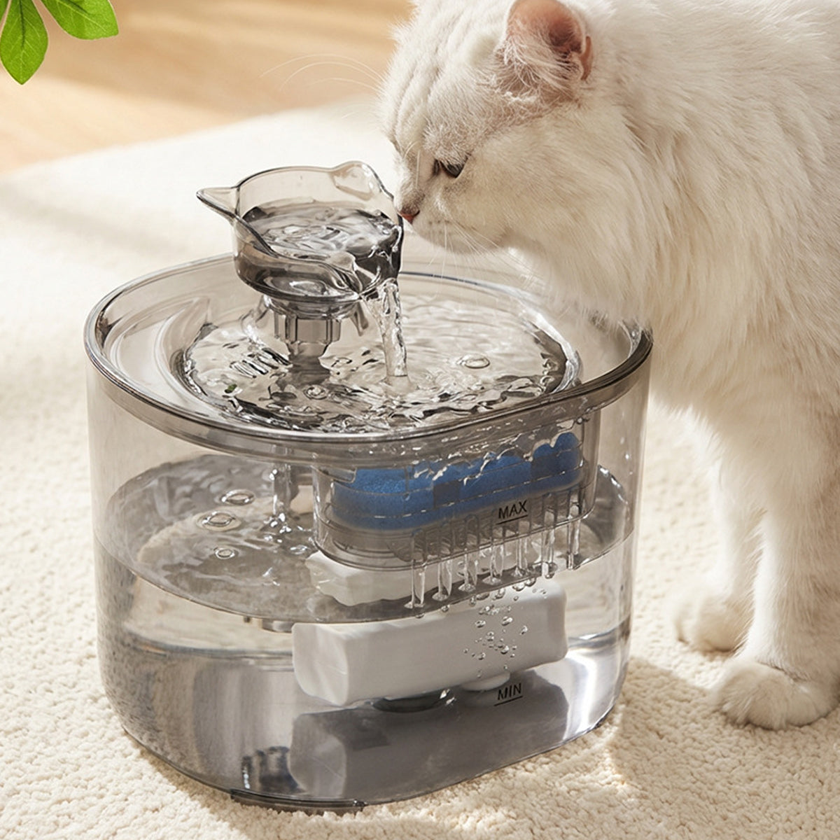 Automatic Pet Water Fountain for Cats and Dogs