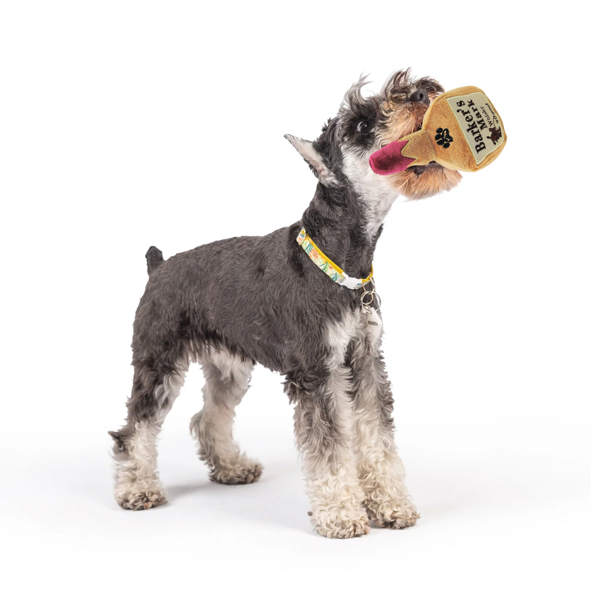 Squeaky Bottle Plush Dog Toy for Interactive Play