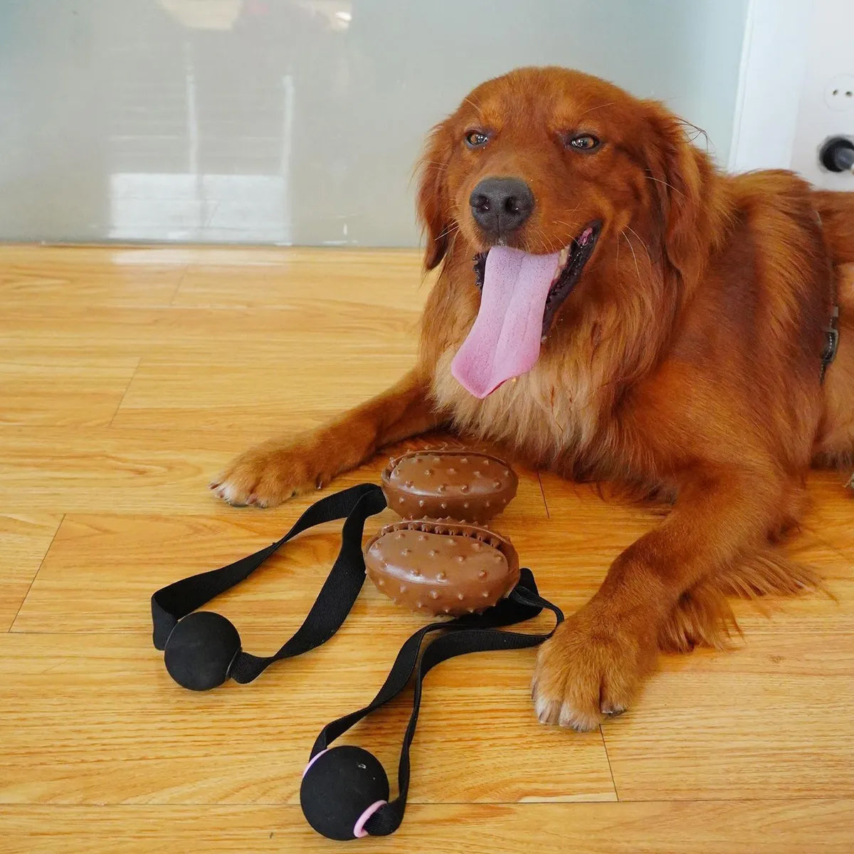 Puppy Chew Toy Teeth Cleaning Slow Feeding Ball Durable Dog Toy
