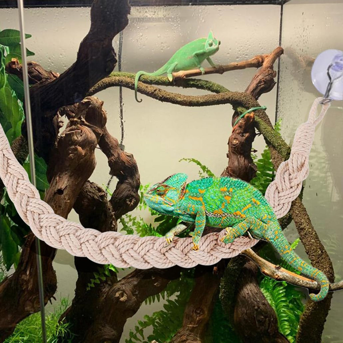 Pet Climbing Suspension Bridge 2PCS Rope Ladder for Hermit Crabs & Reptiles