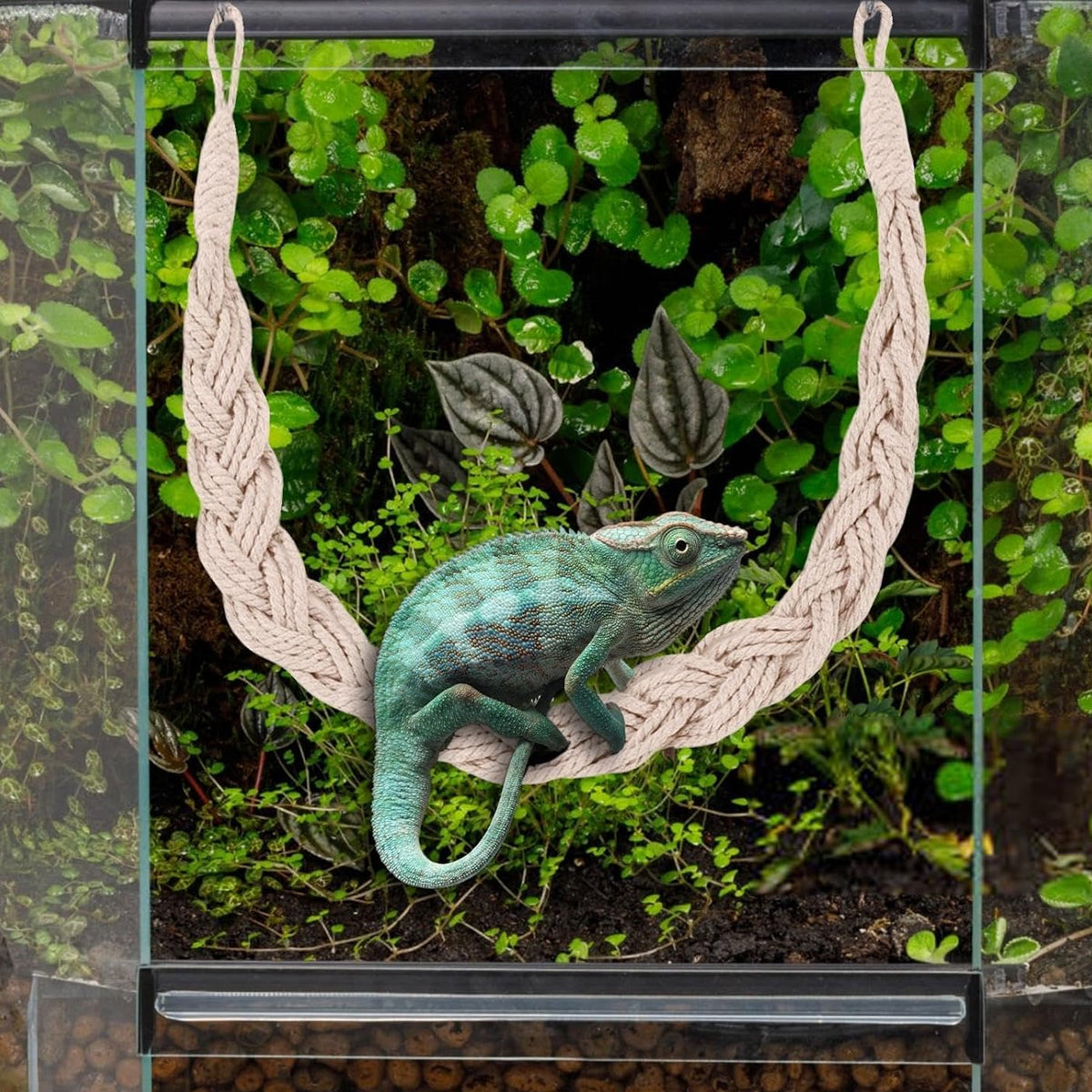 Pet Climbing Suspension Bridge 2PCS Rope Ladder for Hermit Crabs & Reptiles