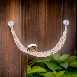Pet Climbing Suspension Bridge 2PCS Rope Ladder for Hermit Crabs & Reptiles
