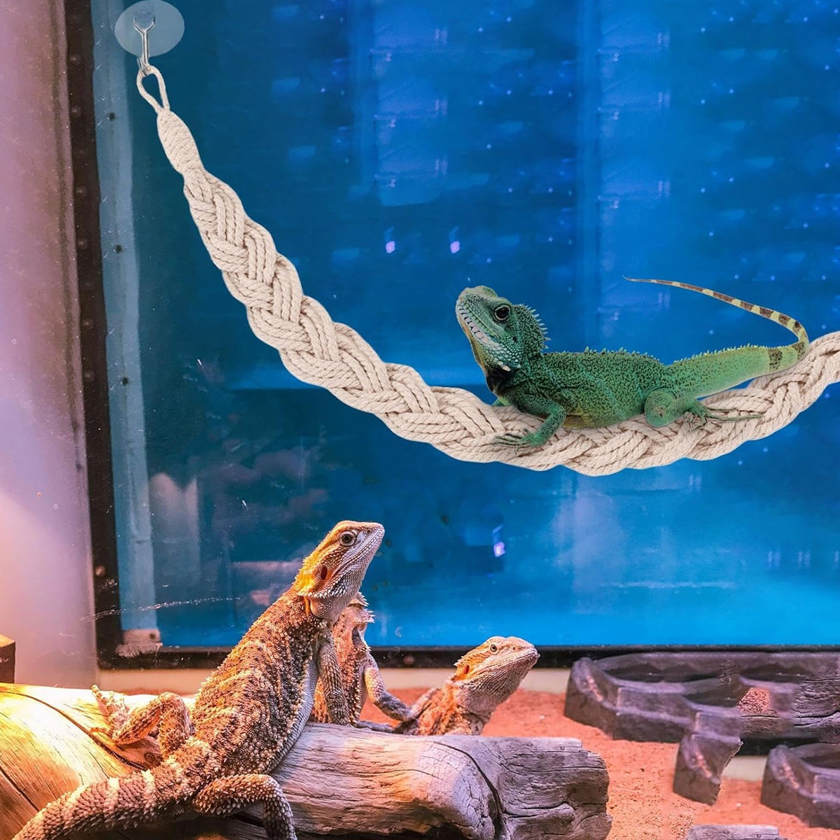 Pet Climbing Suspension Bridge 2PCS Rope Ladder for Hermit Crabs & Reptiles