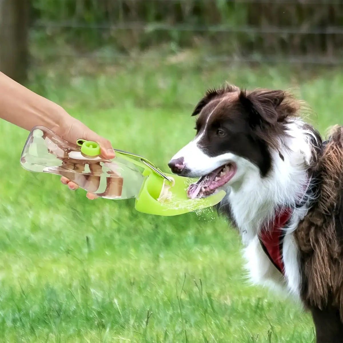Portable Silicone Pet Drinking Cup with Leaf Bowl 580ml Water Bottle