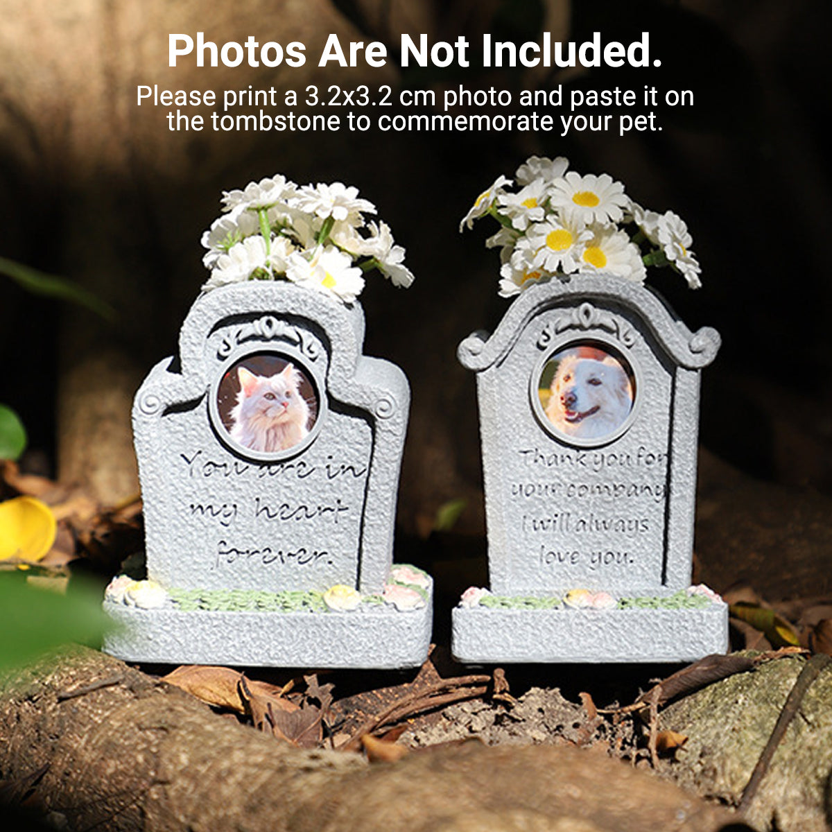 Handcrafted Resin Pet Urn Memorial Box with 3D Carving Design