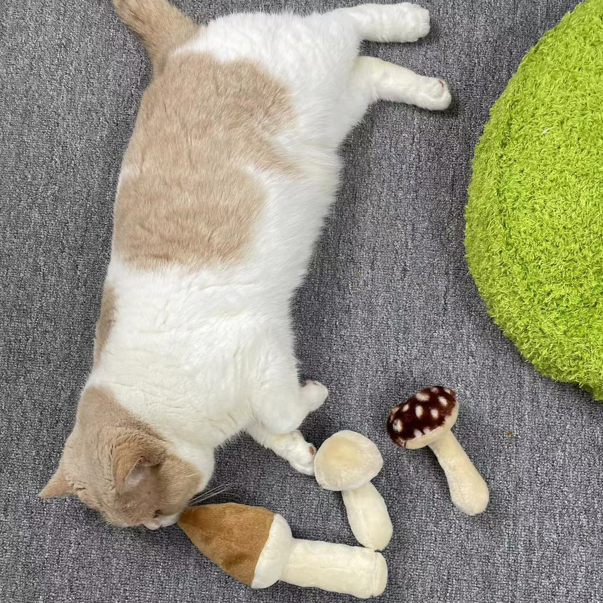 Mushroom Plush Pet Bed with Chew Toys for Small Cats and Dogs