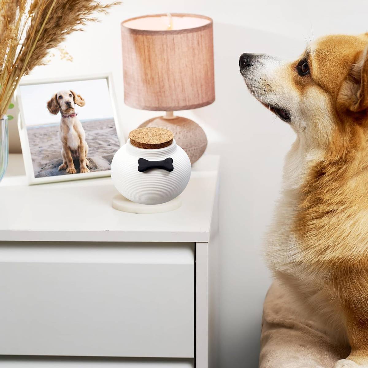 Pet Urn - Metal Memorial Urn for Cat & Dog Ashes
