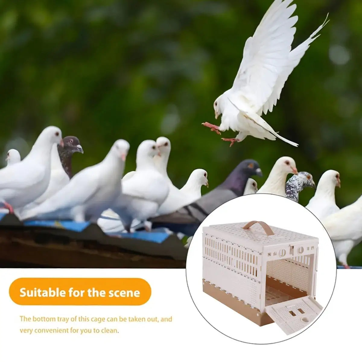 Foldable Pigeon Transport Cage with Dual Doors and Handle