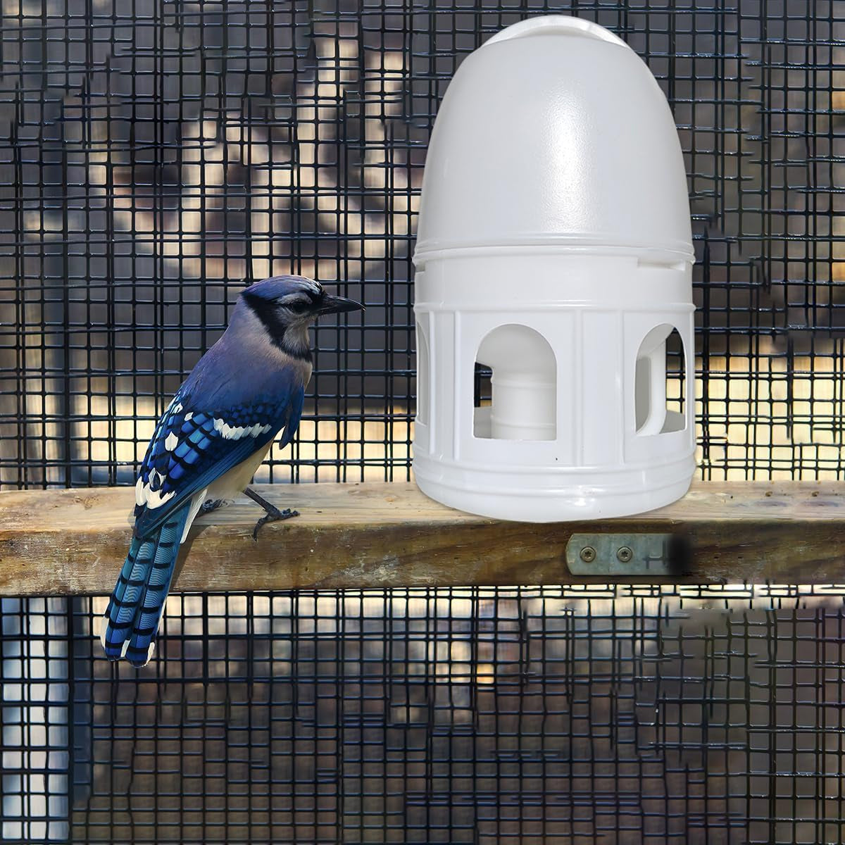 3L Automatic Bird Waterer Large Capacity Dispenser for Pigeons & Parrots