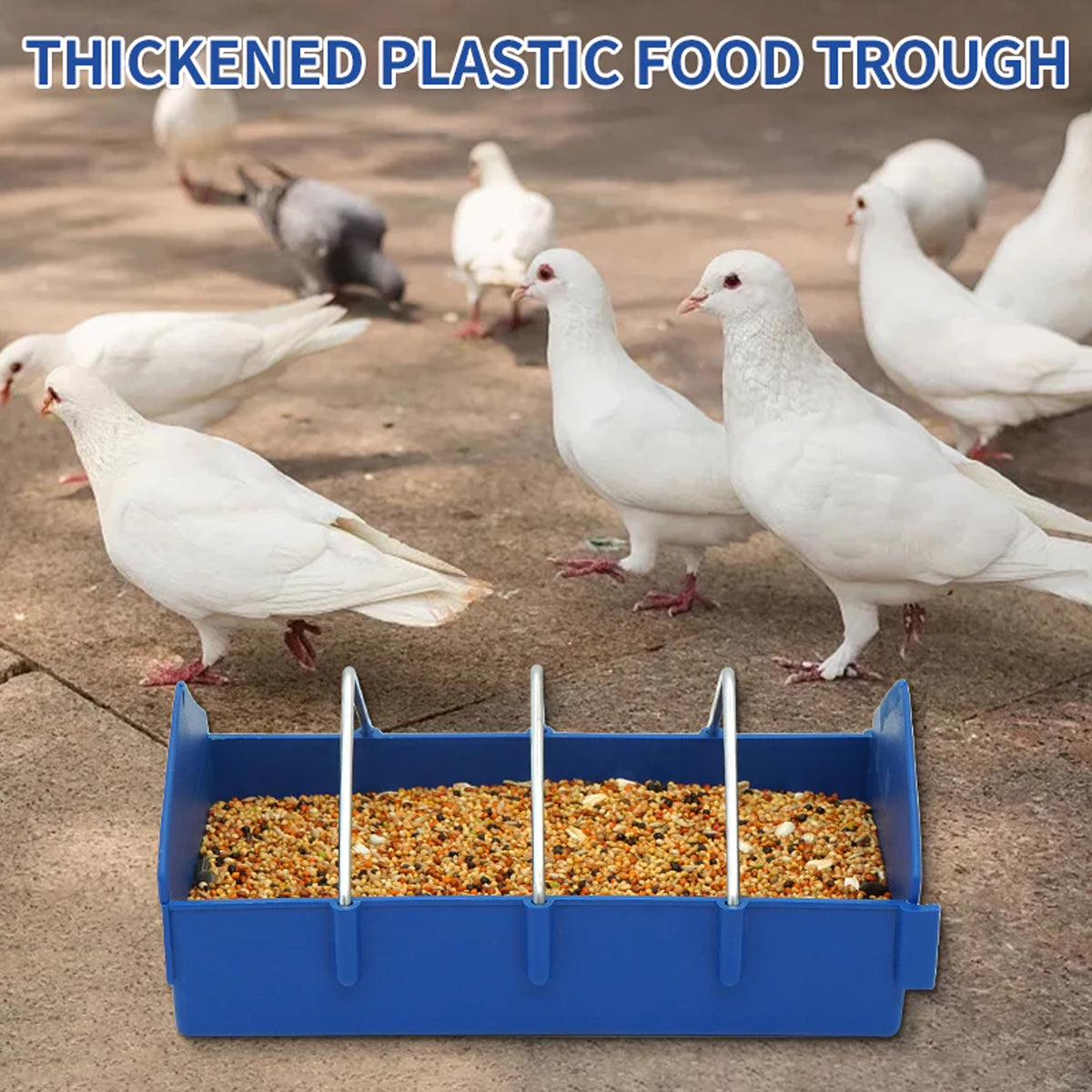 Anti-Spill Pigeon Feeder 2PCS Durable Bird Poultry Feeding Trough