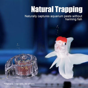 Aquarium Snail Catcher Transparent PC Trap Safe & Effective for Fish Tanks