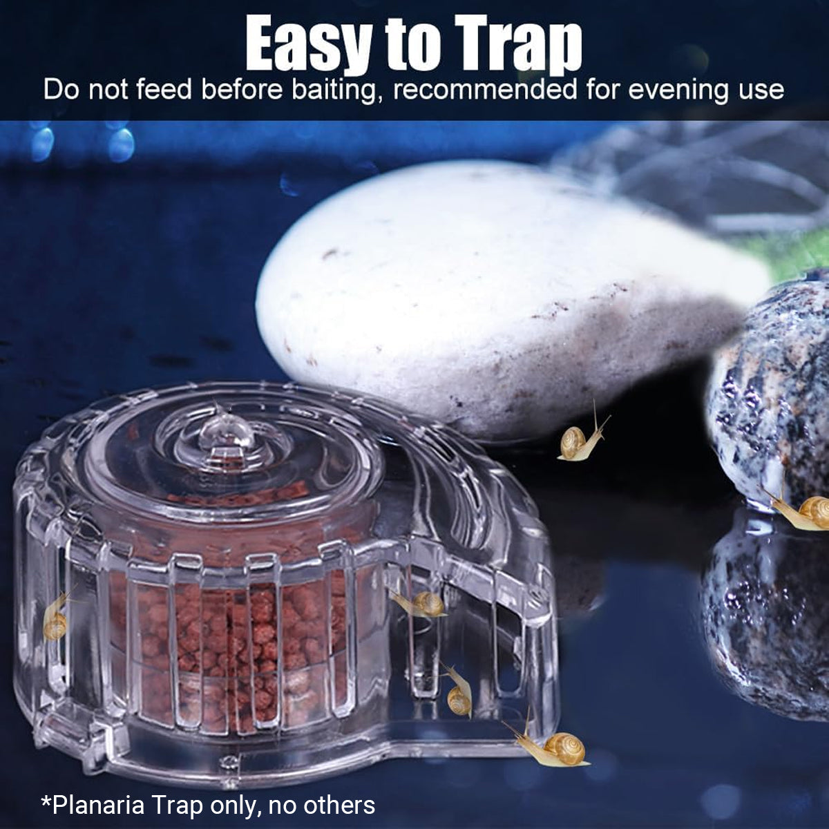 Aquarium Snail Catcher Transparent PC Trap Safe & Effective for Fish Tanks