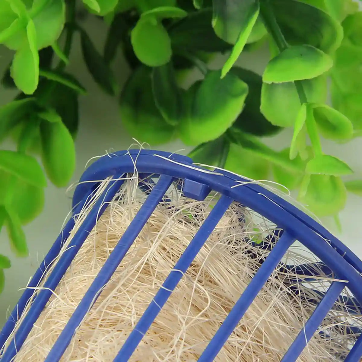 Bird Nest Hatching Tool Set (2PCS)