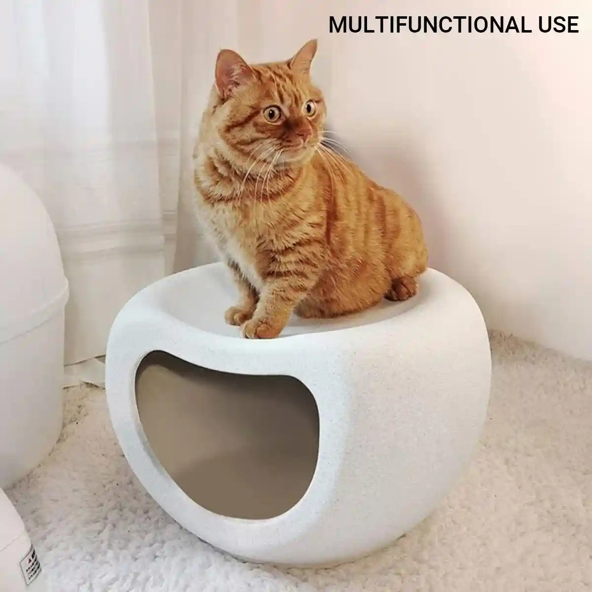 Plastic Cat Nest Durable Indoor Pet Bed with Modern Design