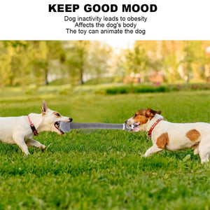 Plush Long Necked Squeaky Dog Toy Rabbit Interactive Tug of War Chew Toy