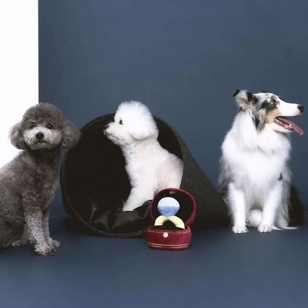 Plush Ring Box Pet Toy Soft & Interactive Chew Toy for Small Dogs & Cats