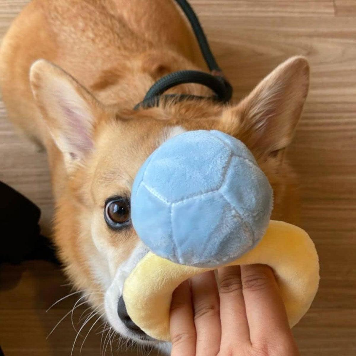 Plush Ring Box Pet Toy Soft & Interactive Chew Toy for Small Dogs & Cats