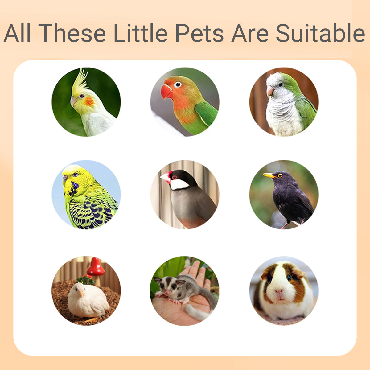 Portable Bird Cage with Shoulder Strap for Travel and Small Pets