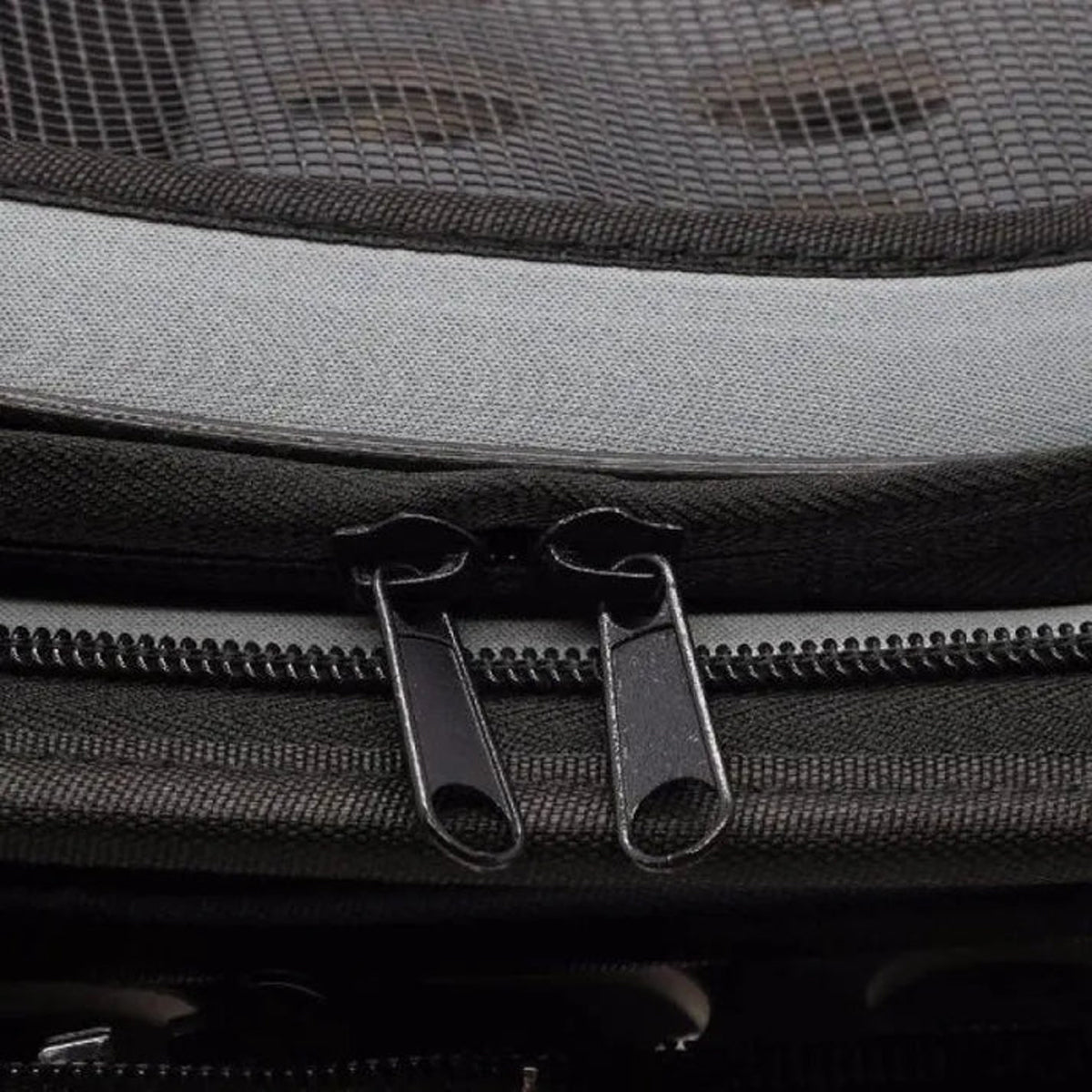 Foldable EVA Pet Carrier Bag with Ventilation and Cotton Lining