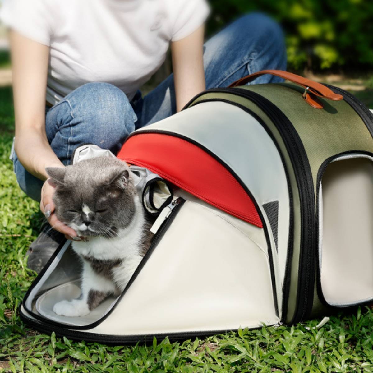 Portable Ventilated Travel Bag for Cats & Small Dogs
