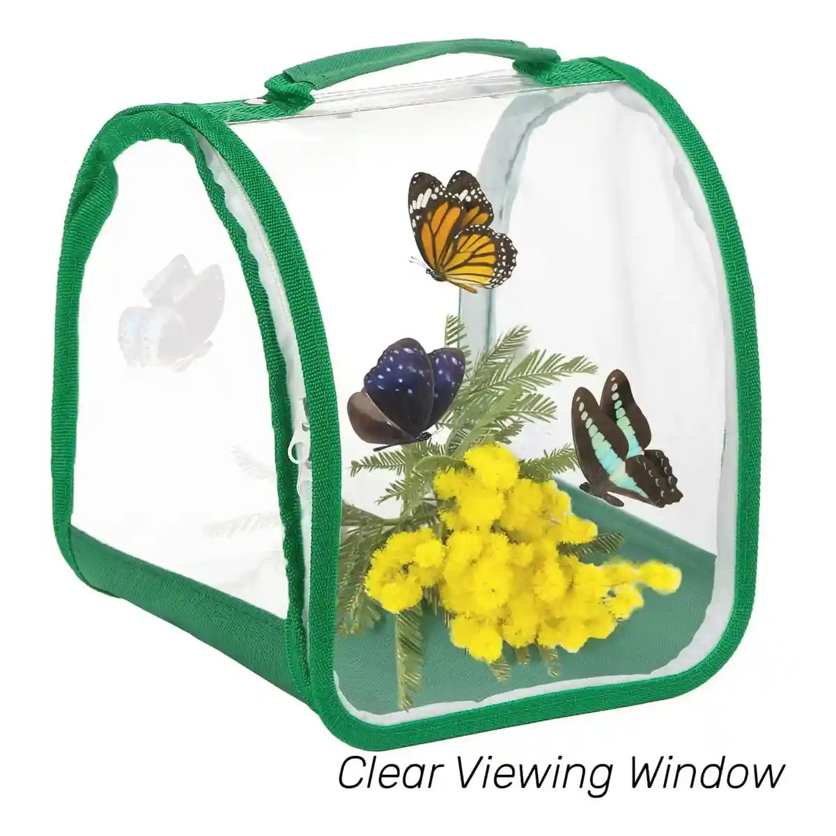 360° Transparent Observation Insect Cage