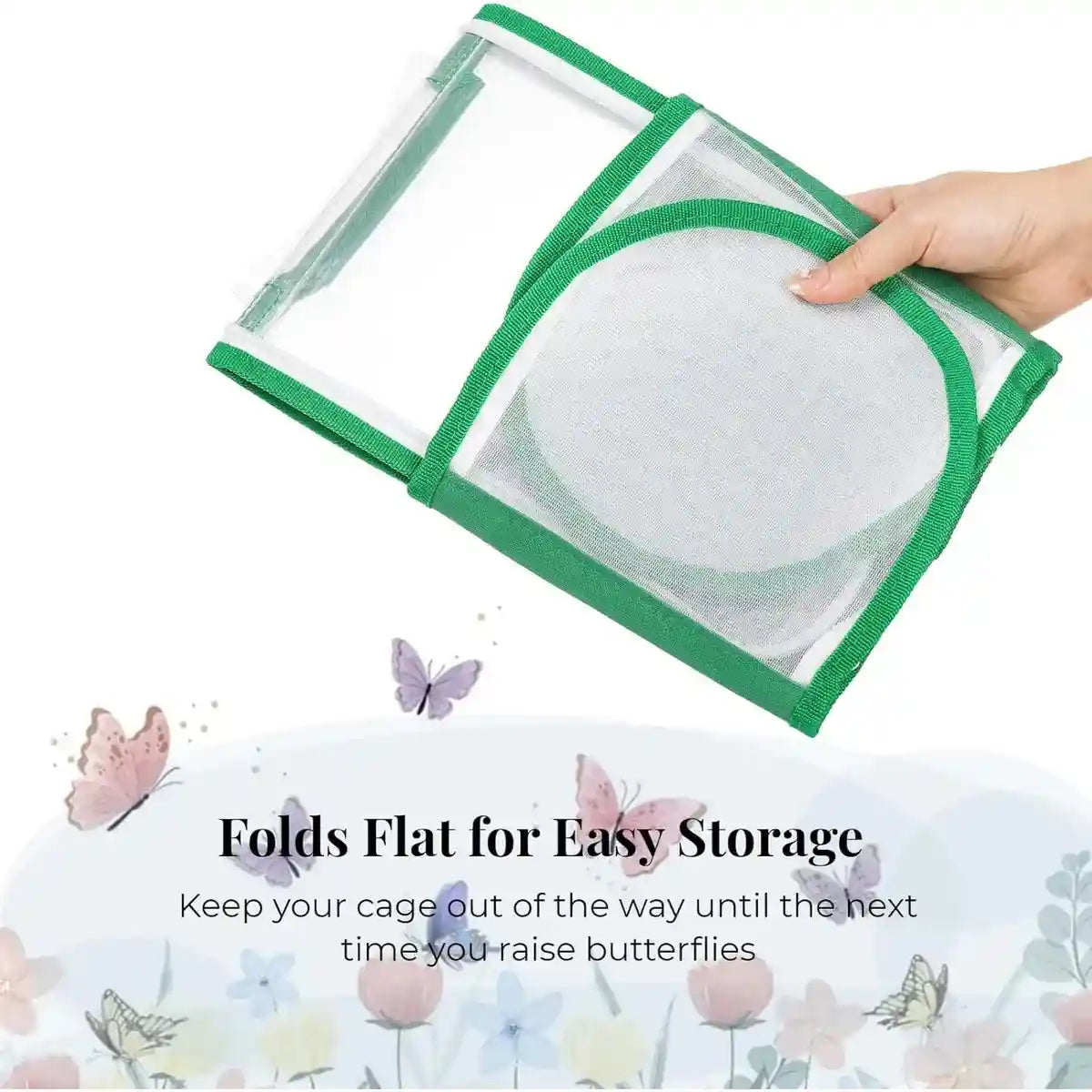 360° Transparent Observation Insect Cage