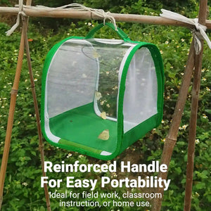 360° Transparent Observation Insect Cage