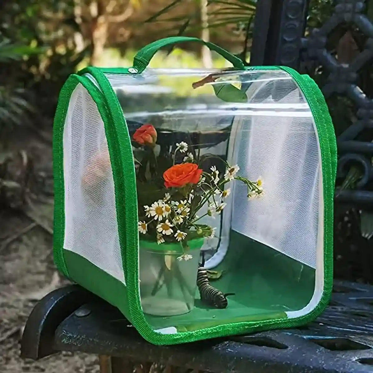 360° Transparent Observation Insect Cage