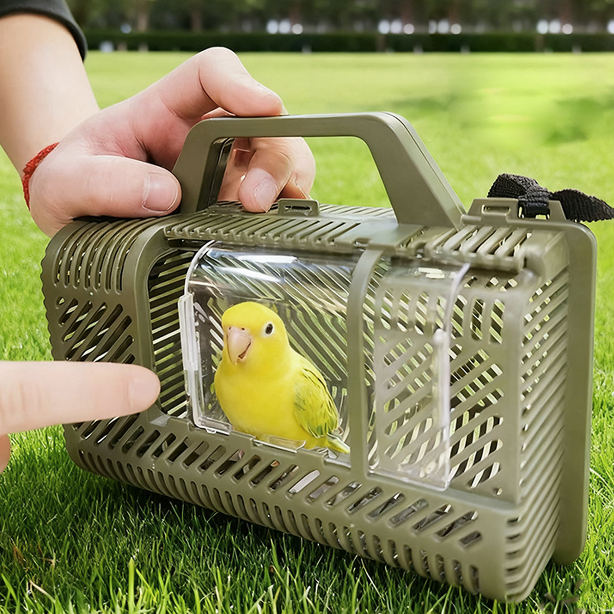 Portable Parrot Travel Cage Lightweight Bird Carrier