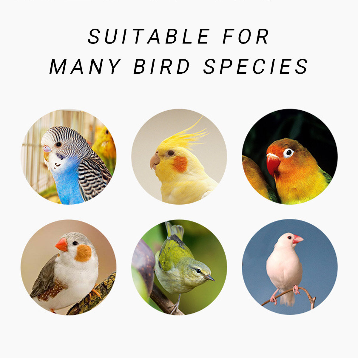 Portable Parrot Travel Cage Lightweight Bird Carrier