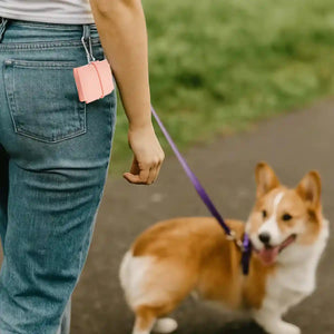 Portable Foldable Pet Bowl Collapsible Silicone Travel Feeder