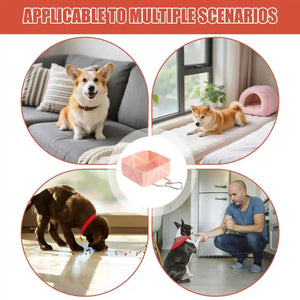 Portable Foldable Pet Bowl Collapsible Silicone Travel Feeder