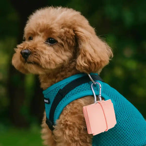 Portable Foldable Pet Bowl Collapsible Silicone Travel Feeder