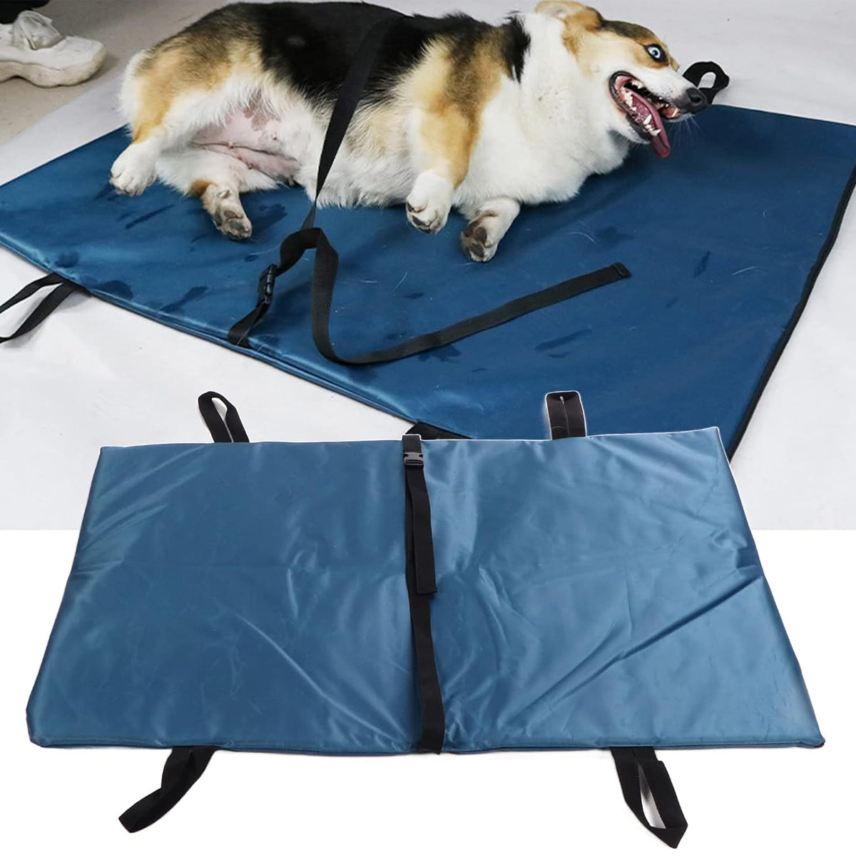 Pet Emergency Stretcher – Foldable Oxford Cloth Rescue Carrier