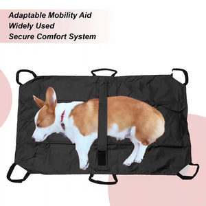 Pet Transport Sling for Injured or Elderly Dogs