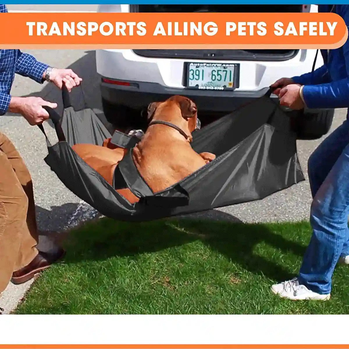 Pet Transport Sling for Injured or Elderly Dogs