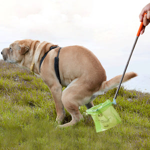 Telescopic Dog Poop Scooper Long Handle Adjustable Waste Picker