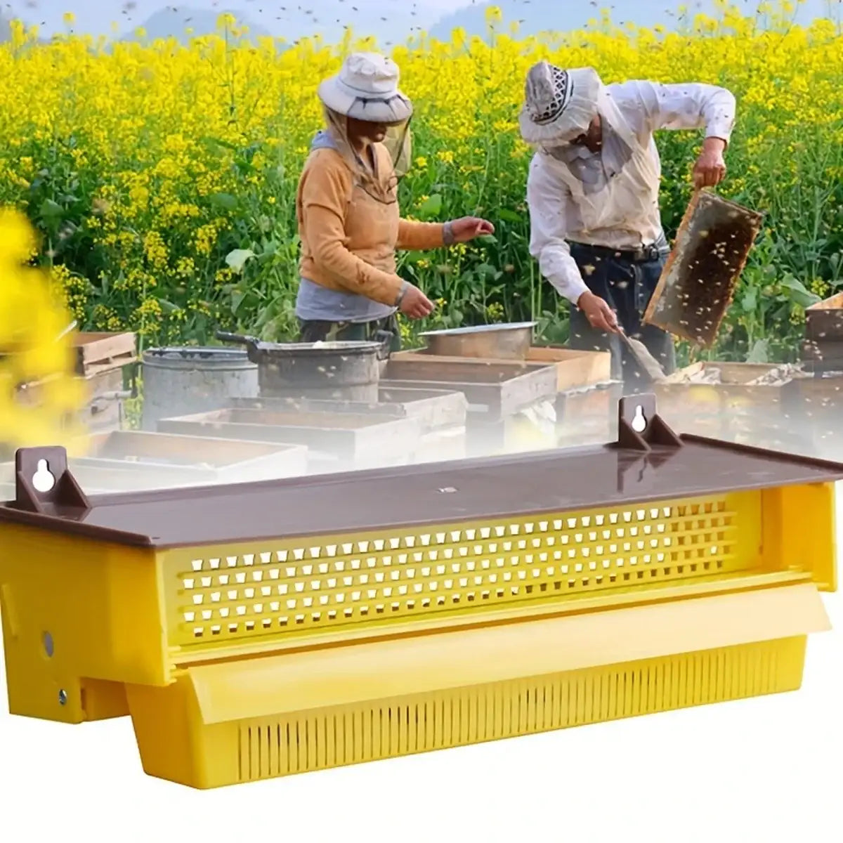Beekeeping Powder Trap Box for Efficient Pollen Collection