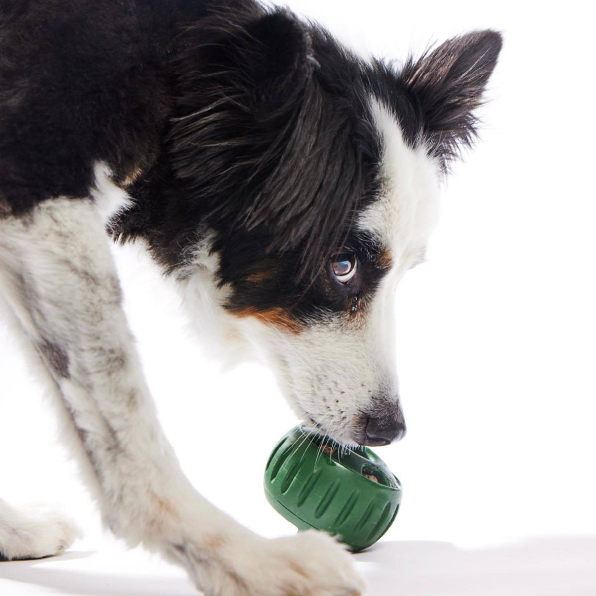 Durable Dog Treat Tray Mold & Toy Long-Lasting Dog Snack Maker
